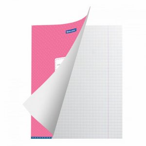 Тетрадь BRAUBERG ТОЧКИ (103023)