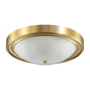 Настенно-потолочный светильник Lumion NINA (5259/3C)