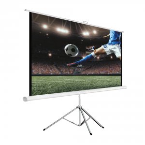 Экран для видеопроектора HIPER Cinema STP 16X9-120 (149x266см напольный)