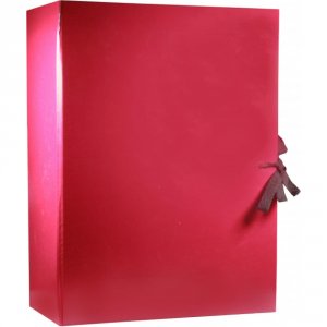 Архивная папка Attache 1472043