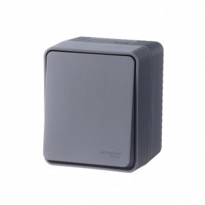 Одноклавишный выключатель Schneider Electric AtlasDesign PROFI (ATN544061)