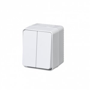 Двухклавишный выключатель Schneider Electric AtlasDesign PROFI (ATN540151)