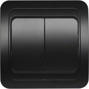 Двухклавишный выключатель Smartbuy SBE-02b-10-SW2-0-c