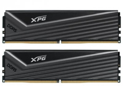 Модуль памяти ADATA AX5U6000C4016G-DCCAGY