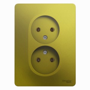 Двухместная розетка Schneider Electric GSL001020