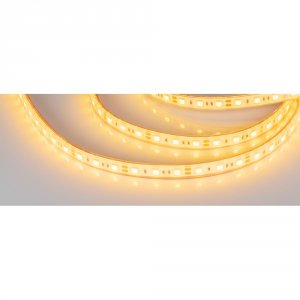 Герметичная светодиодная лента Arlight RTW-PGS-B60-13mm 12V Yellow (0123062)