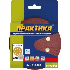 Шлифовальные круги Практика 919-105