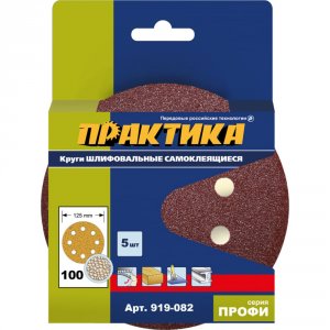 Шлифовальные круги Практика 919-082