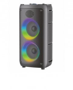 Колонка Eltronic 05 20-41 Dance Box 200