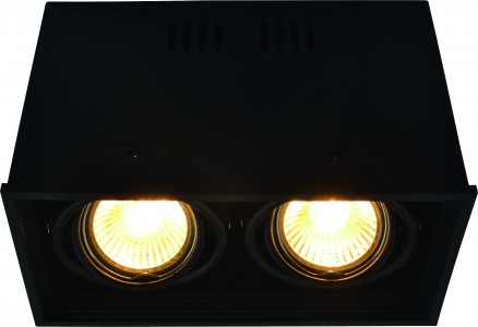 Светильник встраиваемый Arte Lamp A5942pl-2bk (A5942PL-2BK)