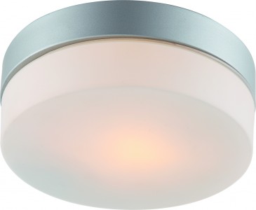 Светильник настенно-потолочный Arte Lamp A3211pl-1si (A3211PL-1SI)