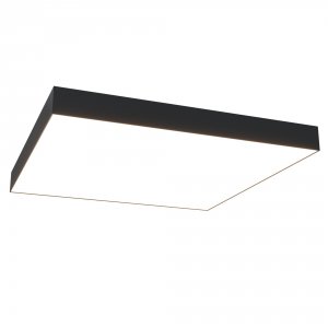Потолочный светильник Maytoni Ceiling Wall Zon C067CL-L96B4K Черный