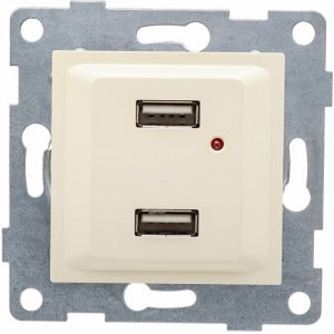 Двойная розетка usb Gusi Electric Ugra (С11USB2-003)