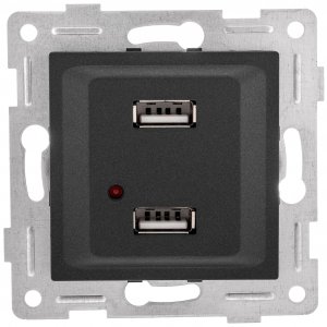Двойной механизм розетки Gusi Electric Ugra (С11USB2-010)