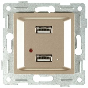 Двойной механизм розетки Gusi Electric Ugra (С11USB2-027)