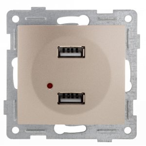 Двойной механизм розетки Gusi Electric Bravo (С10USB2-027)