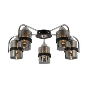 Потолочная люстра Evoluce SLE102002-05