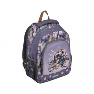 Ученический рюкзак Erich Krause ErgoLine Dreamy Owl (51601)