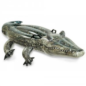 Надувная игрушка-наездник INTEX Настоящий аллигатор (57551)
