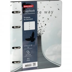 Тетрадь BRAUBERG VISTA Infinite way (112132)