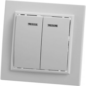 Двухклавишный выключатель Stekker PSW10-9002-01 Эрна (39042)