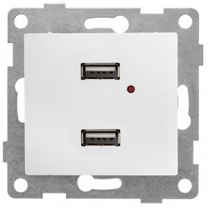 Двойной механизм розетки Gusi Electric С10USB2-028