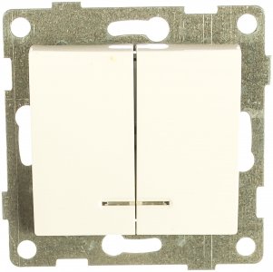Двухклавишный выключатель Gusi Electric С10В28-001