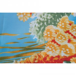 Штора для ванной Delphinium WS-817 S-23 (104070)