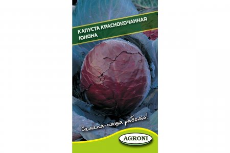 Краснокочанная капуста капуста Агрони ЮНОНА (4278)