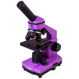 Микроскоп Levenhuk Rainbow 2L PLUS Amethyst (XSP-42 metal Pantone #265C)