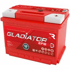 Аккумуляторная батарея GLADIATOR GEF6510