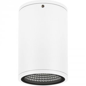 Светильник Arlight LGD-FORMA-SURFACE-R90-12W Day4000 (37259)