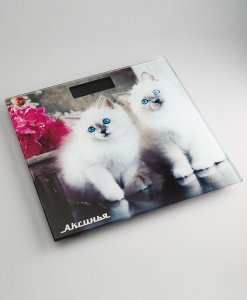 Напольные электронные весы Аксинья КС-6003 пушистые котята (0R-00005014)