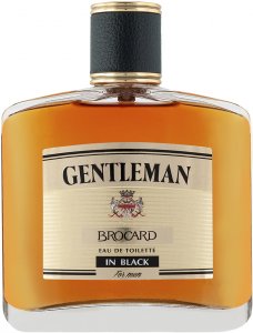 Мужская парфюмерия Brocard GentleIn Black Man 100 ml (BRD000195)