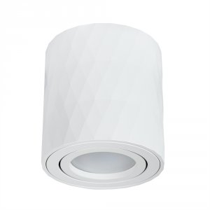 Потолочный светильник Arte Lamp Fang A5559PL-1WH Белый