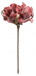 Цветок ВеЩицы пион летний (aj-41)