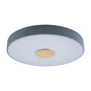 Накладной светильник Loft IT Axel 2 (10003/24 Grey)