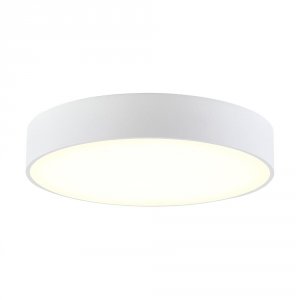 Потолочный светильник Citilux Тао CL712240N