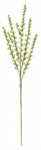 Цветок ВеЩицы барбарис летний (aj-48)