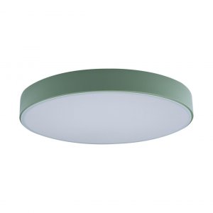 Накладной светильник Loft IT Axel 1 (10002/24 Green)