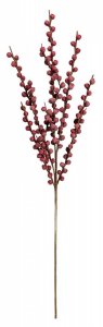 Цветок ВеЩицы барбарис осенний (aj-49)