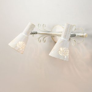 Поворотный спот Citilux дункан (CL529522)