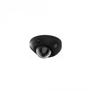 IP камера Hikvision DS-2CD2543G2-IS(2.8mm)(BLACK) 2.8-2.8мм