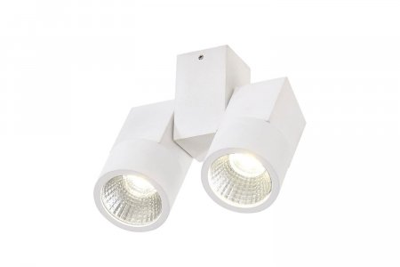 Светодиодный поворотный спот Citilux Дубль (CL556100)