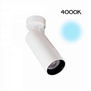 Накладной поворотный светильник Citilux Тубус LED (CL01B180N)
