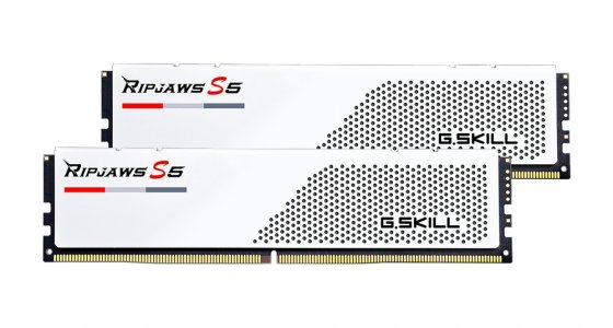 Модуль памяти G.Skill Ripjaws S5 F5-6000J3040F16GX2-RS5W (GS_F5-6000J3040F16GX2-RS5W)