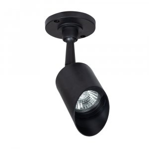 Потолочный светильник Arte Lamp Elsie A1022AL-1BK Черный