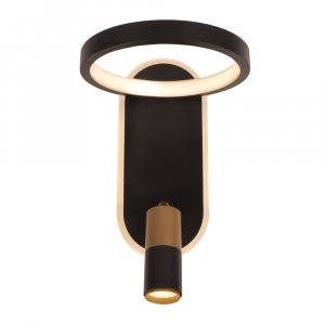 Настенный светильник Arte Lamp Toliman A2613AP-2BK Черный Золото