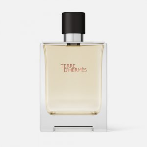 Туалетная вода Hermes Terre d'Hermès (HER020872)