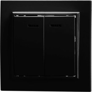 Двухклавишный выключатель Stekker PSW10-9002-03 Эрна (39471)